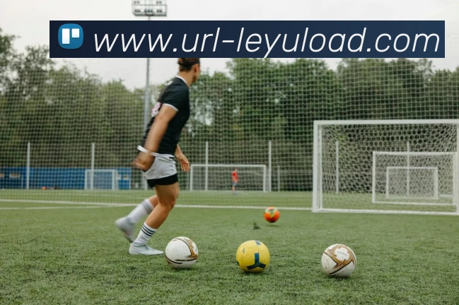 App Interface Preview