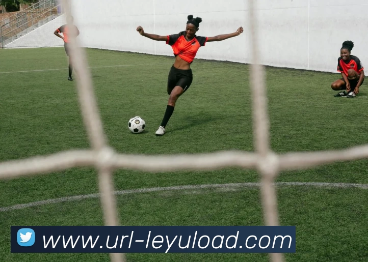 乐鱼体育APP 封面图